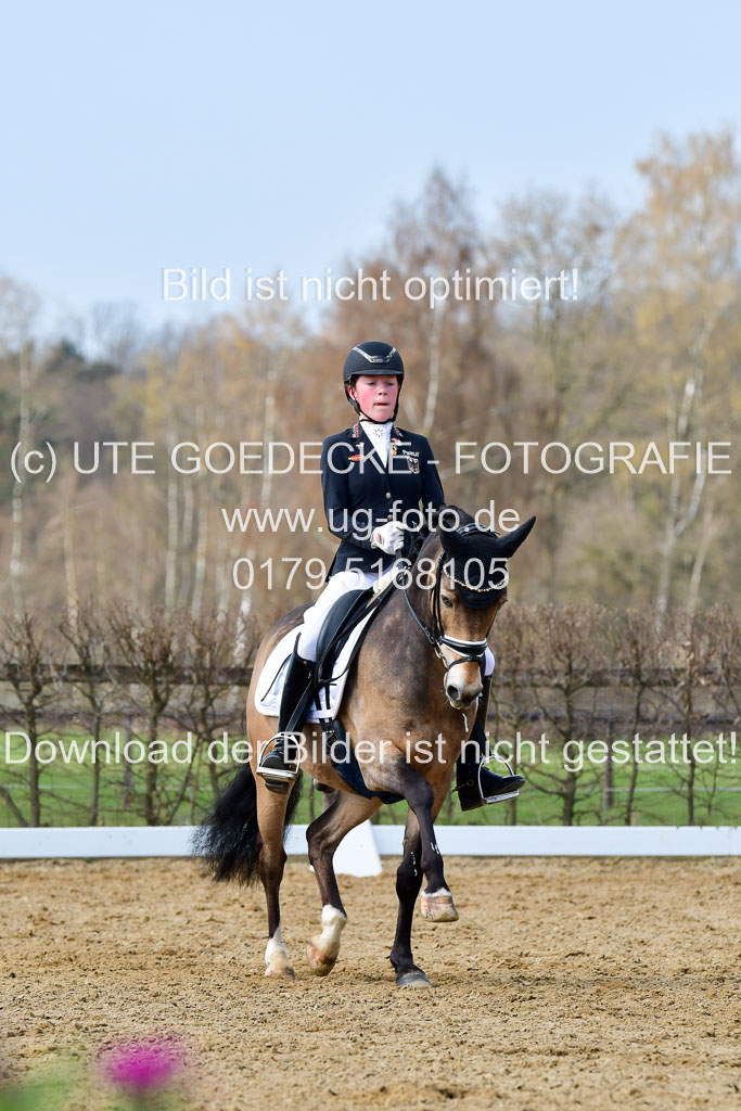 Reitsportzentrum Bremervörde | 10421 Dressur L Tr_416