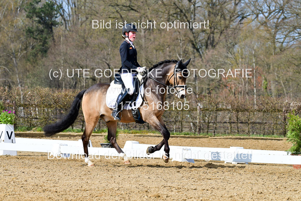 Reitsportzentrum Bremervörde | 10421 Dressur L Tr_423