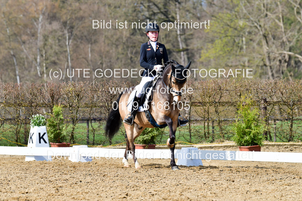 Reitsportzentrum Bremervörde | 10421 Dressur L Tr_426