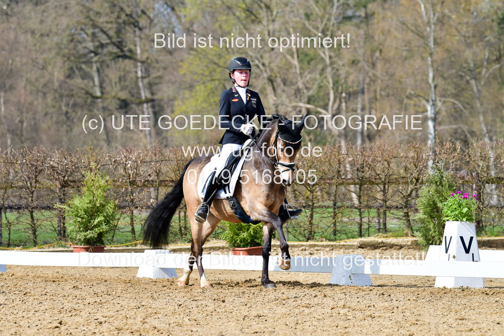 Reitsportzentrum Bremervörde | 10421 Dressur L Tr_428