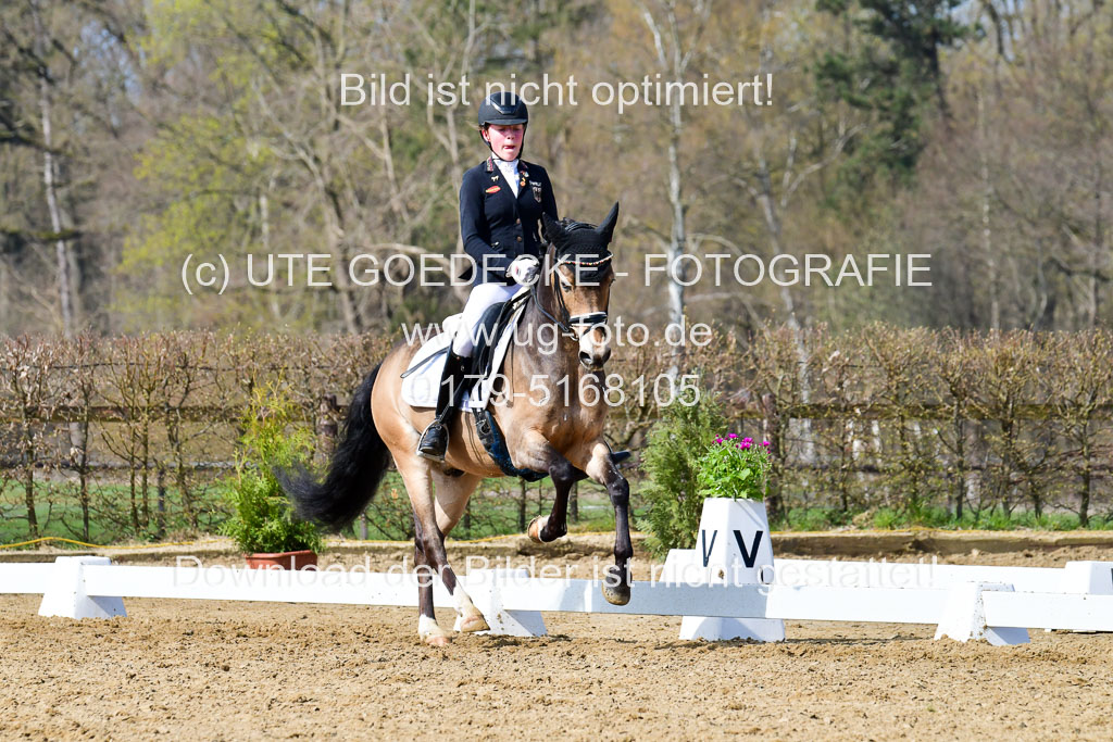 Reitsportzentrum Bremervörde | 10421 Dressur L Tr_429