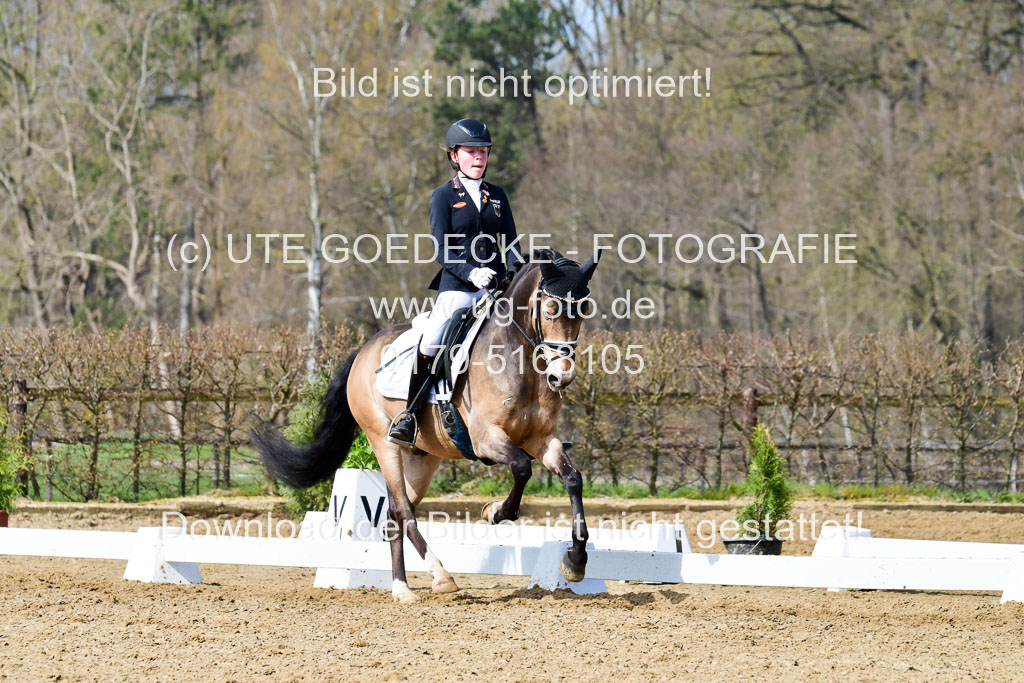Reitsportzentrum Bremervörde | 10421 Dressur L Tr_431