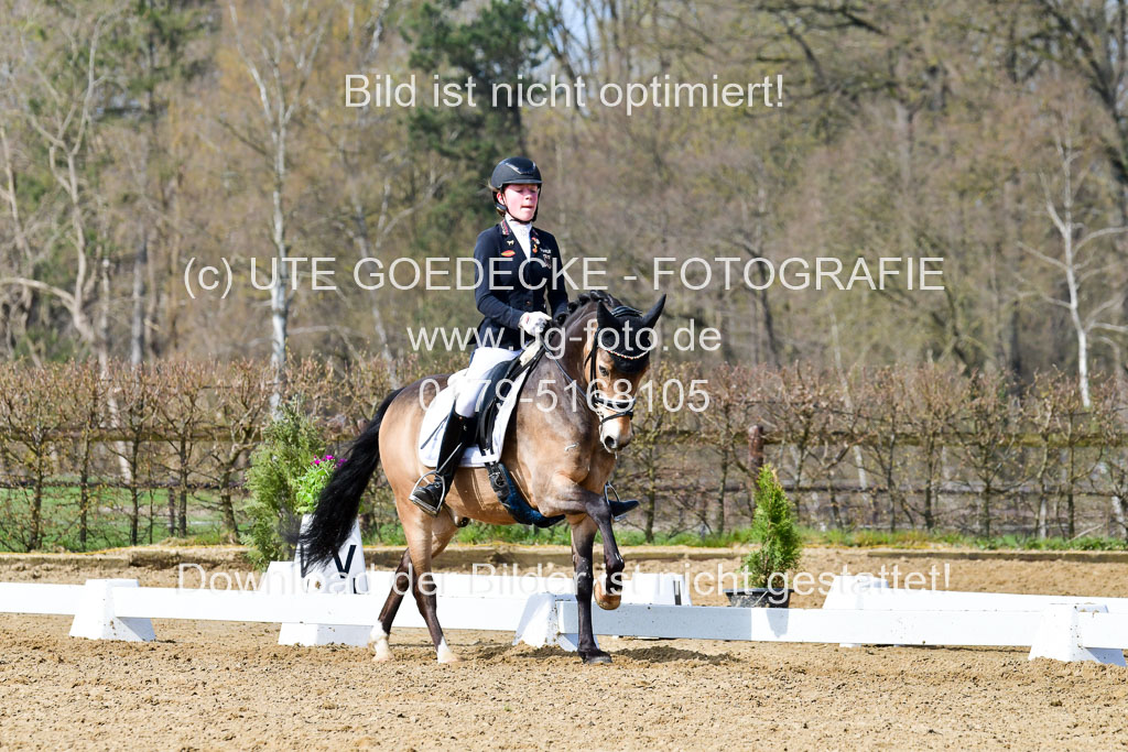 Reitsportzentrum Bremervörde | 10421 Dressur L Tr_432 