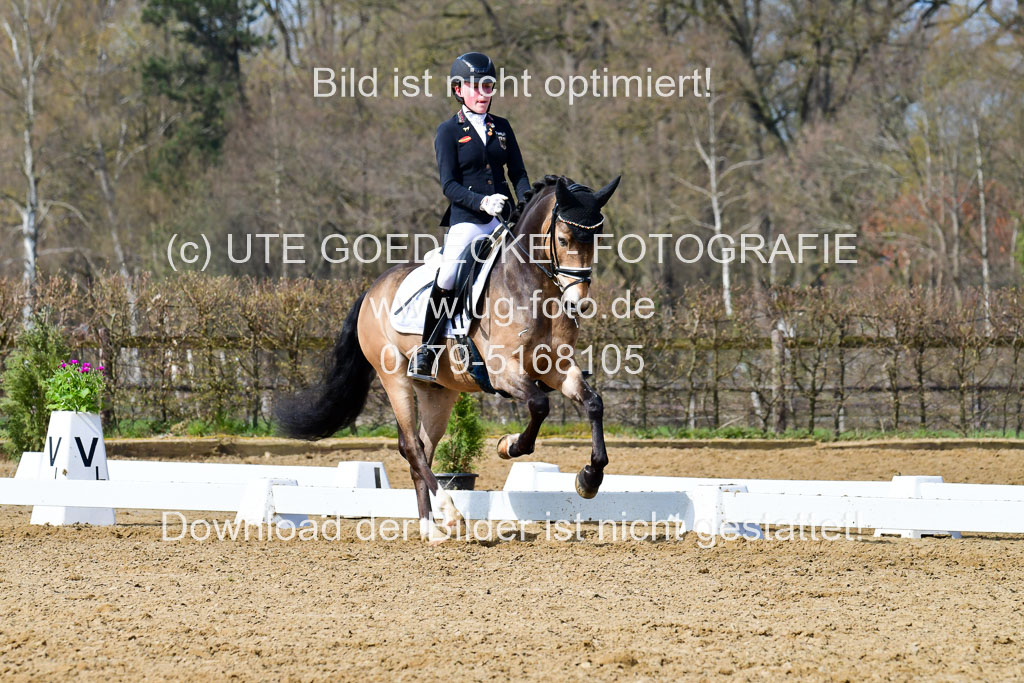 Reitsportzentrum Bremervörde | 10421 Dressur L Tr_433