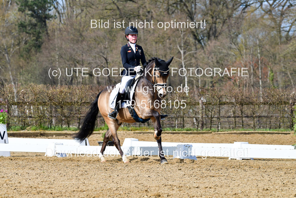 Reitsportzentrum Bremervörde | 10421 Dressur L Tr_434