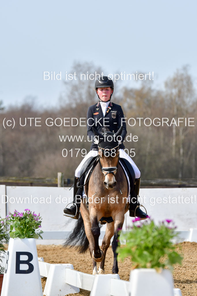 Reitsportzentrum Bremervörde | 10421 Dressur L Tr_436