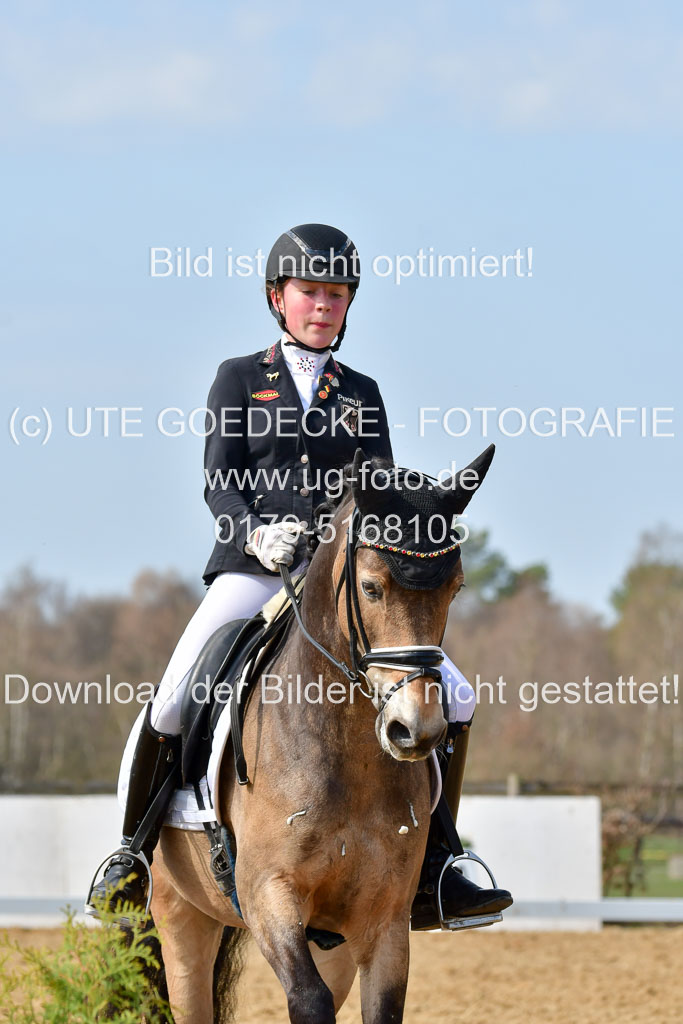 Reitsportzentrum Bremervörde | 10421 Dressur L Tr_437