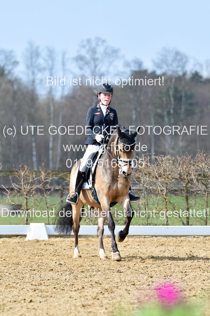 Reitsportzentrum Bremervörde | 10421 Dressur L Tr_439