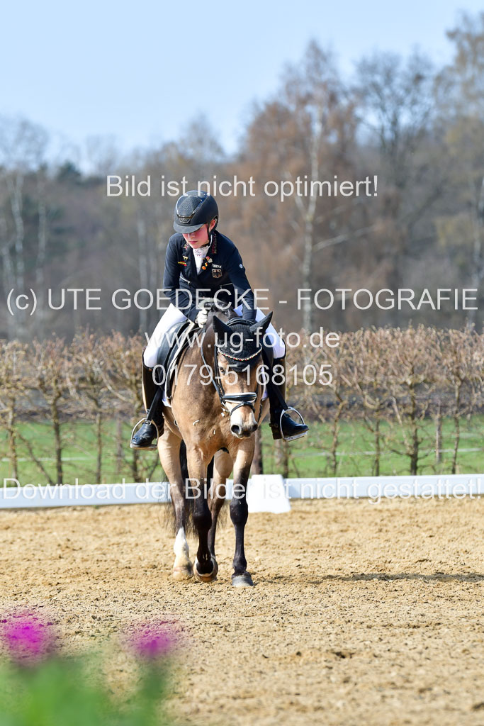 Reitsportzentrum Bremervörde | 10421 Dressur L Tr_440 