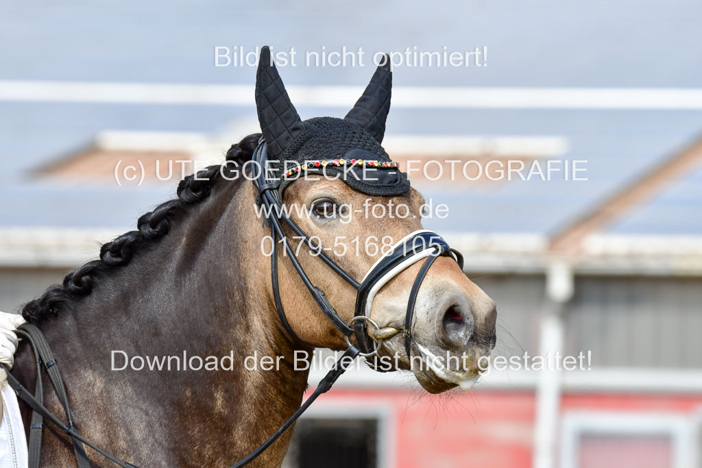 Reitsportzentrum Bremervörde | 10421 Dressur L Tr_442