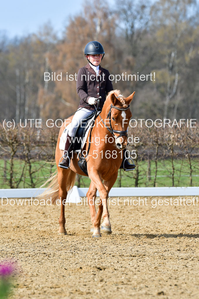 Reitsportzentrum Bremervörde | 10421 Dressur L Tr_446 