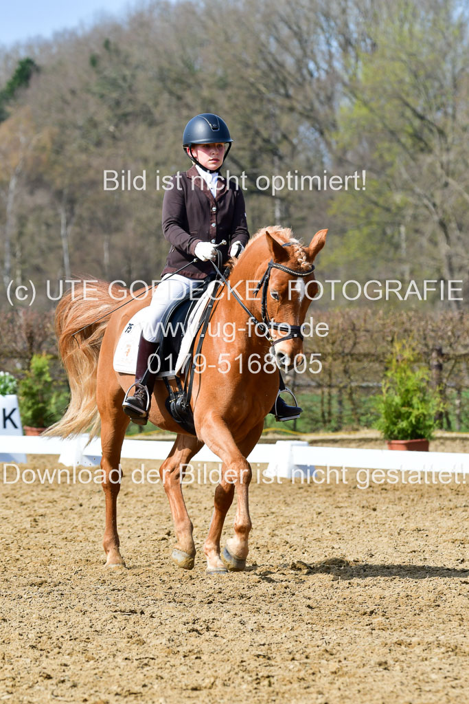 Reitsportzentrum Bremervörde | 10421 Dressur L Tr_447