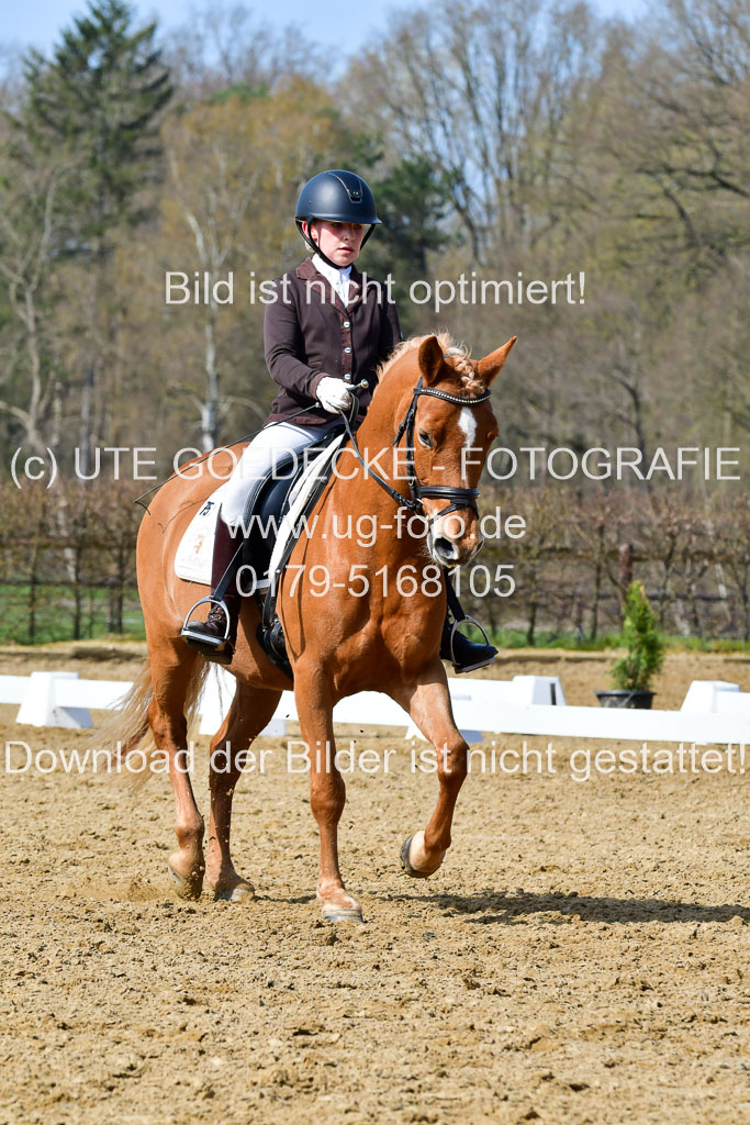 Reitsportzentrum Bremervörde | 10421 Dressur L Tr_448