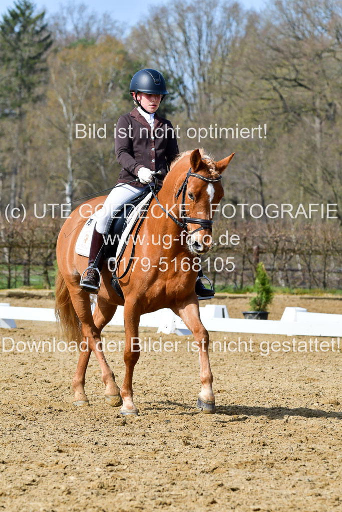 Reitsportzentrum Bremervörde | 10421 Dressur L Tr_449