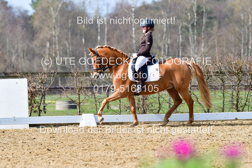 Reitsportzentrum Bremervörde | 10421 Dressur L Tr_450