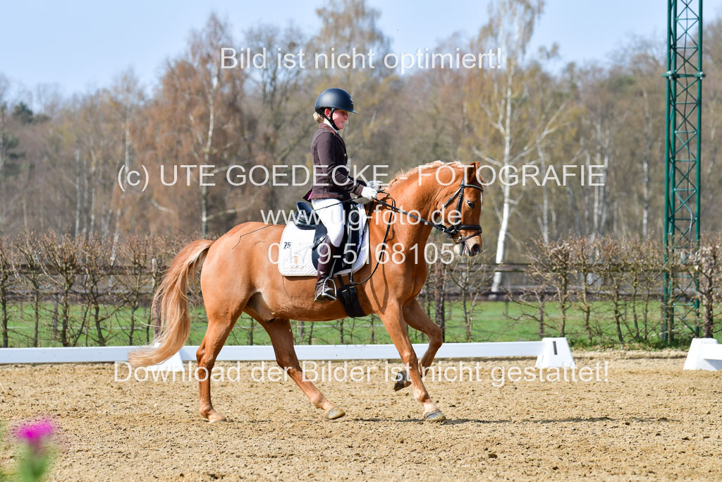Reitsportzentrum Bremervörde | 10421 Dressur L Tr_451