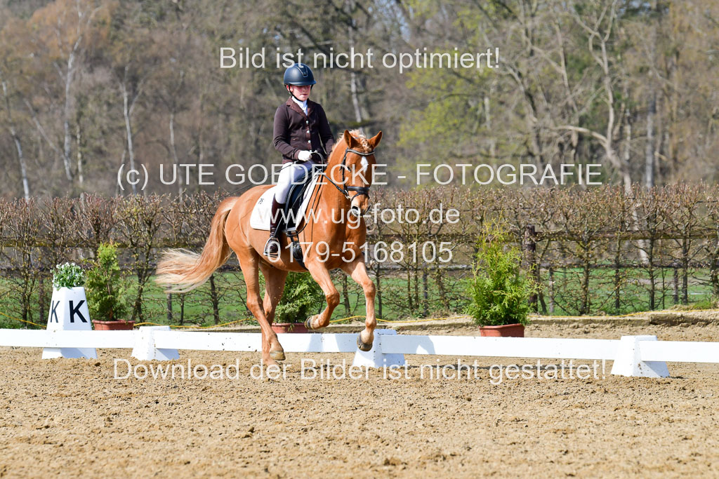 Reitsportzentrum Bremervörde | 10421 Dressur L Tr_453 