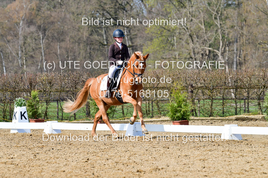 Reitsportzentrum Bremervörde | 10421 Dressur L Tr_454