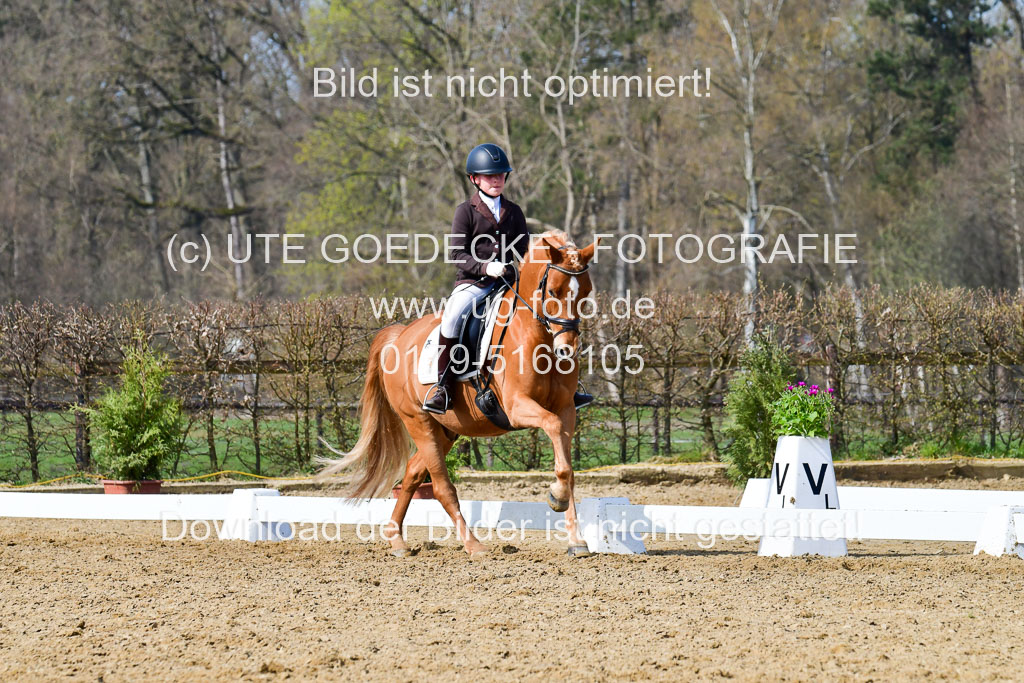 Reitsportzentrum Bremervörde | 10421 Dressur L Tr_456