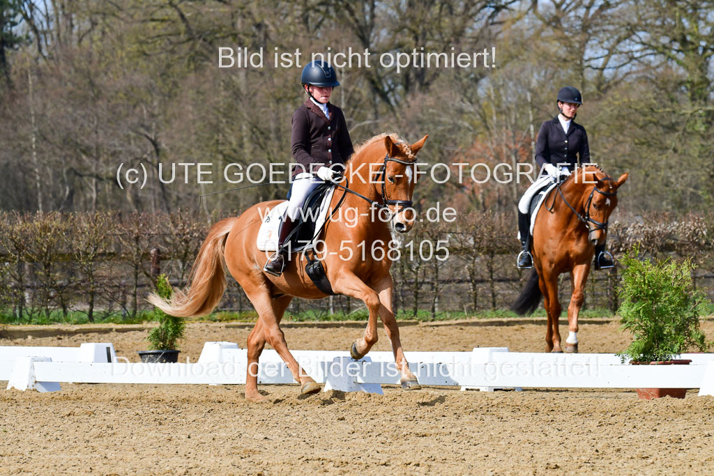 Reitsportzentrum Bremervörde | 10421 Dressur L Tr_457 