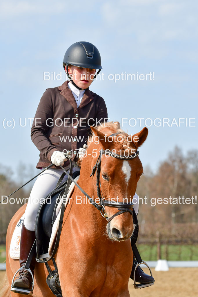 Reitsportzentrum Bremervörde | 10421 Dressur L Tr_459