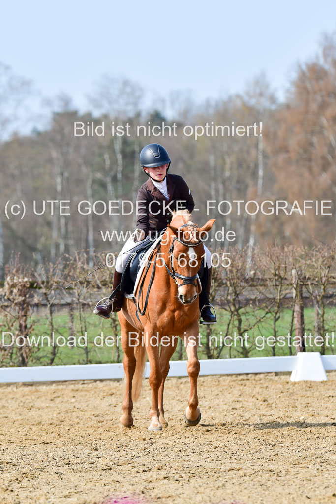 Reitsportzentrum Bremervörde | 10421 Dressur L Tr_461
