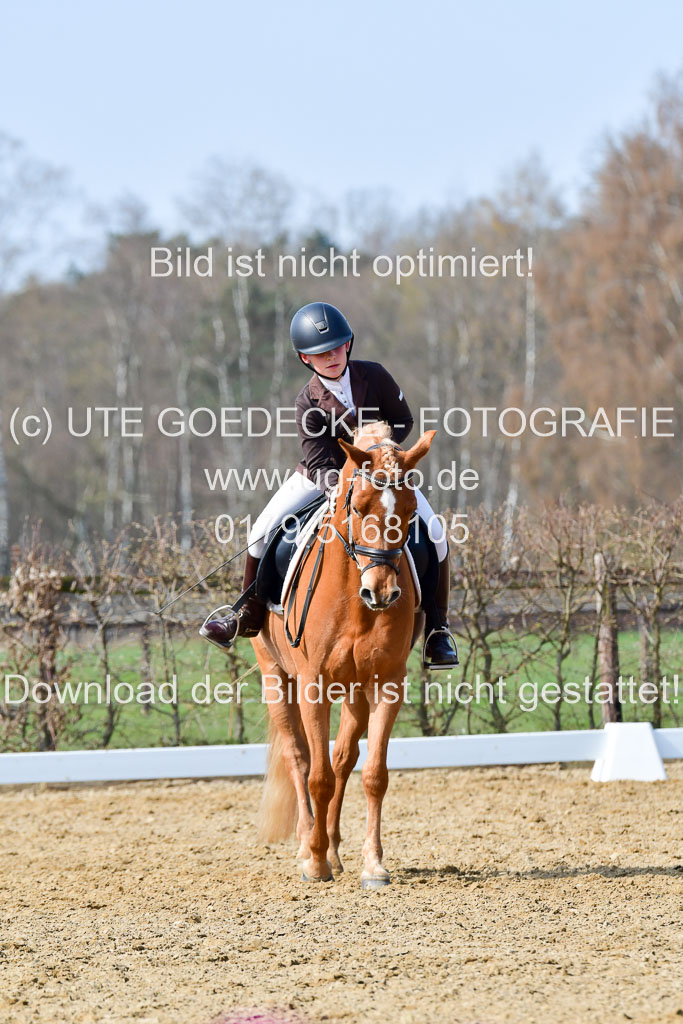 Reitsportzentrum Bremervörde | 10421 Dressur L Tr_462