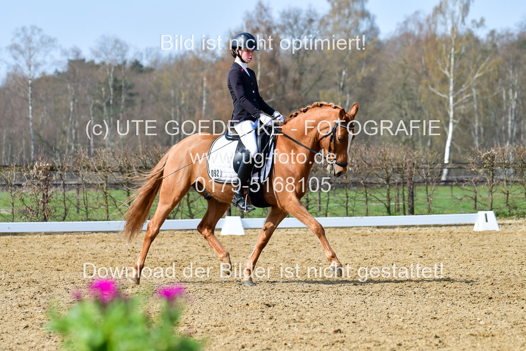 Reitsportzentrum Bremervörde | 10421 Dressur L Tr_463