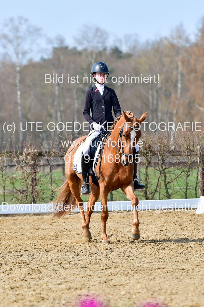 Reitsportzentrum Bremervörde | 10421 Dressur L Tr_464