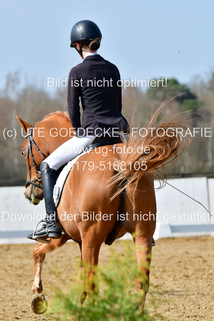 Reitsportzentrum Bremervörde | 10421 Dressur L Tr_467