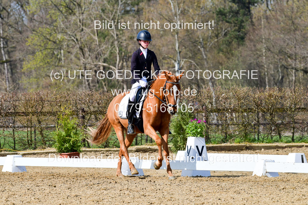 Reitsportzentrum Bremervörde | 10421 Dressur L Tr_468 