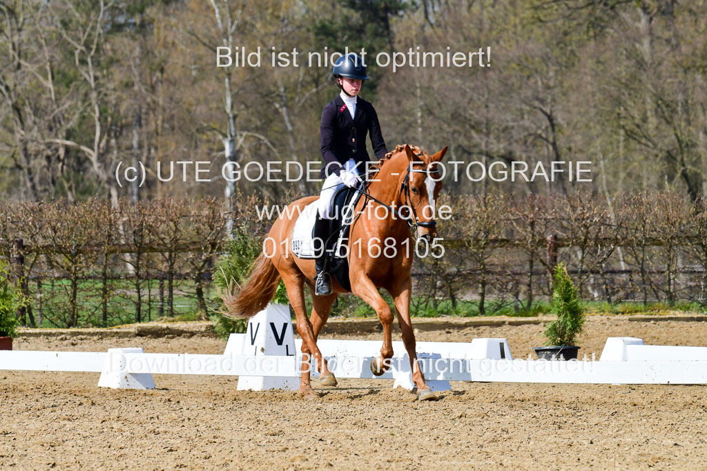 Reitsportzentrum Bremervörde | 10421 Dressur L Tr_469 