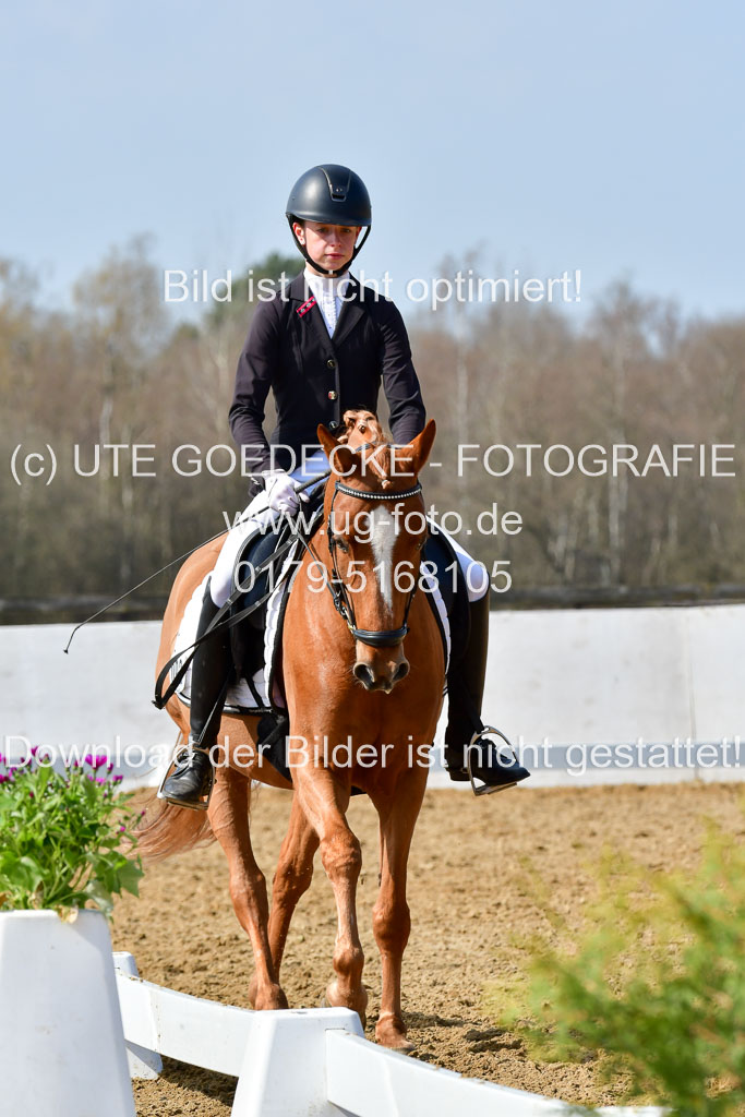 Reitsportzentrum Bremervörde | 10421 Dressur L Tr_470