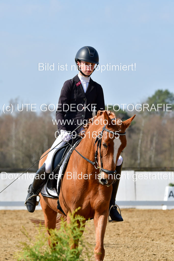 Reitsportzentrum Bremervörde | 10421 Dressur L Tr_471 