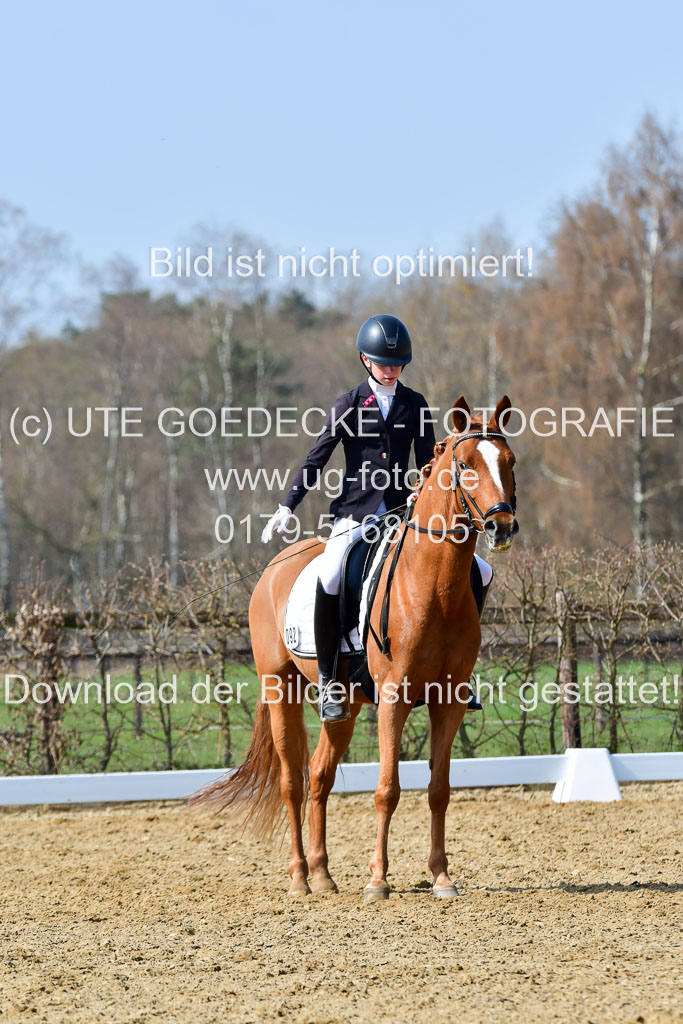 Reitsportzentrum Bremervörde | 10421 Dressur L Tr_474
