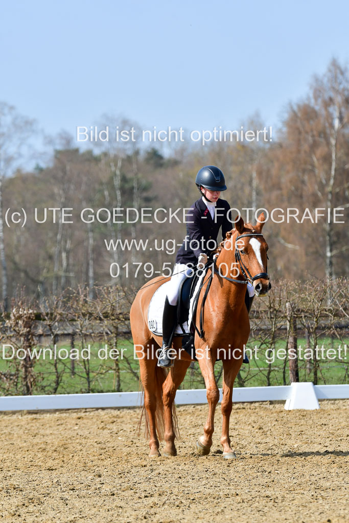 Reitsportzentrum Bremervörde | 10421 Dressur L Tr_475