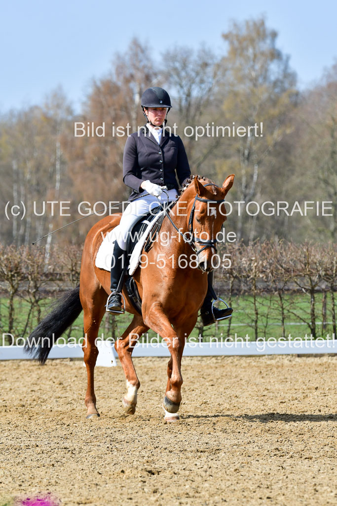 Reitsportzentrum Bremervörde | 10421 Dressur L Tr_476 