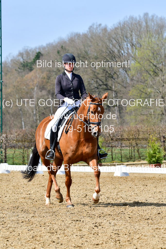 Reitsportzentrum Bremervörde | 10421 Dressur L Tr_477