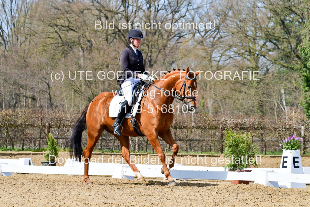 Reitsportzentrum Bremervörde | 10421 Dressur L Tr_479