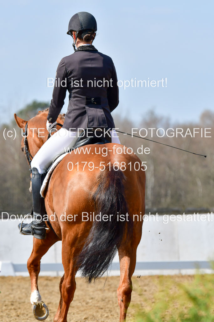 Reitsportzentrum Bremervörde | 10421 Dressur L Tr_480