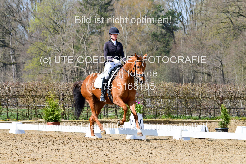 Reitsportzentrum Bremervörde | 10421 Dressur L Tr_481