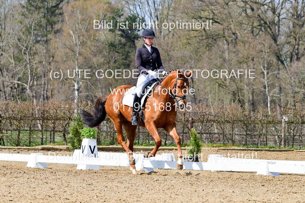 Reitsportzentrum Bremervörde | 10421 Dressur L Tr_482