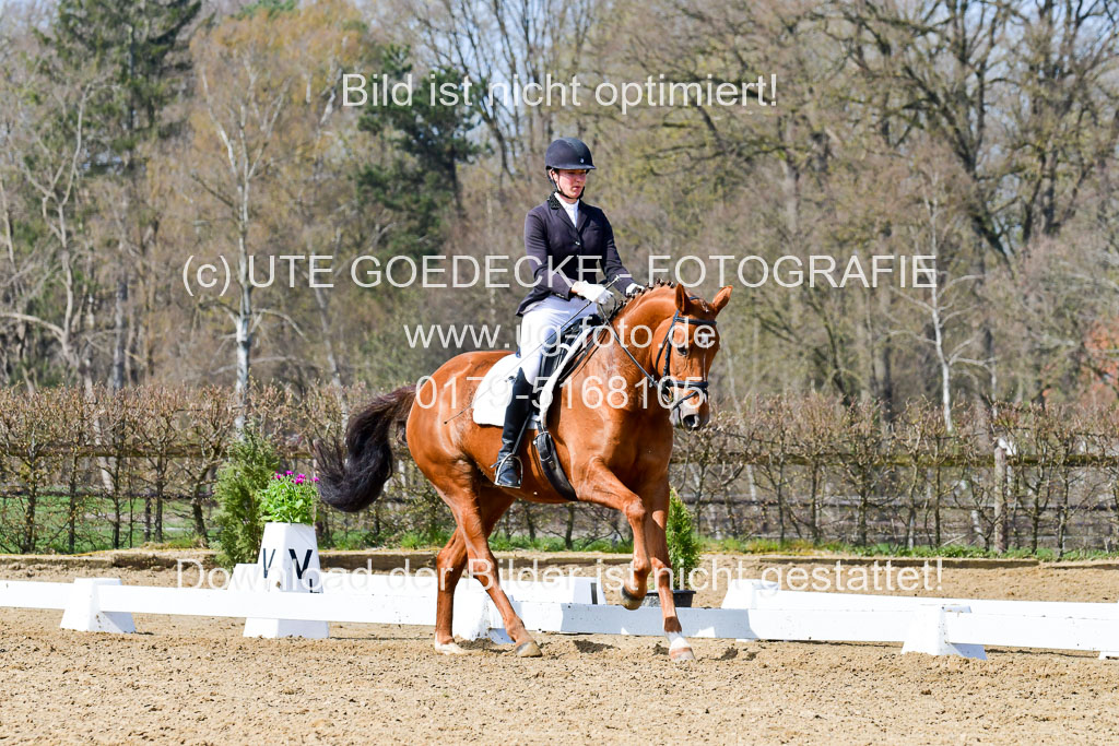 Reitsportzentrum Bremervörde | 10421 Dressur L Tr_483