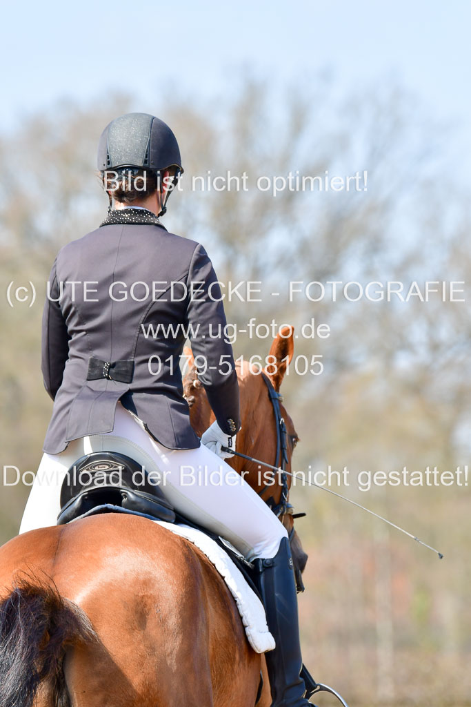 Reitsportzentrum Bremervörde | 10421 Dressur L Tr_484