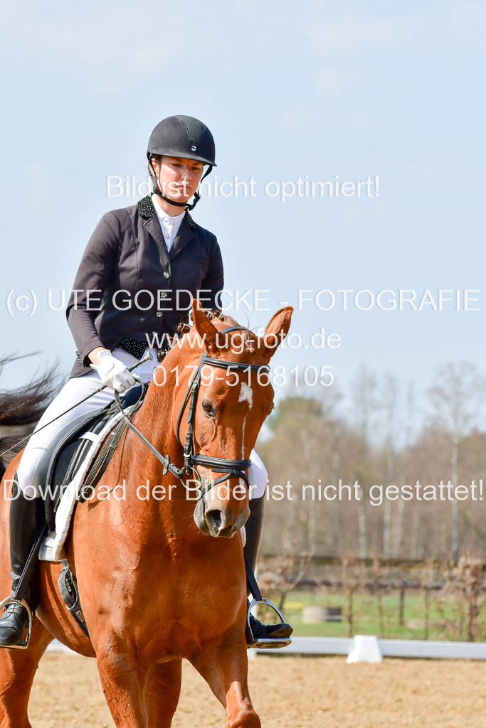 Reitsportzentrum Bremervörde | 10421 Dressur L Tr_486