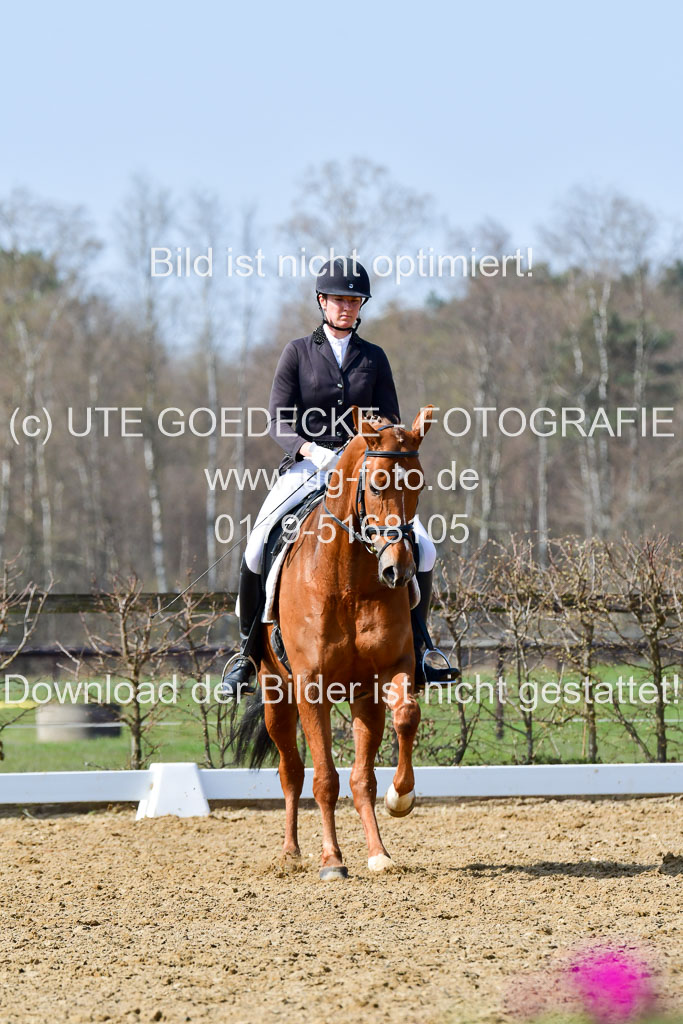 Reitsportzentrum Bremervörde | 10421 Dressur L Tr_487 