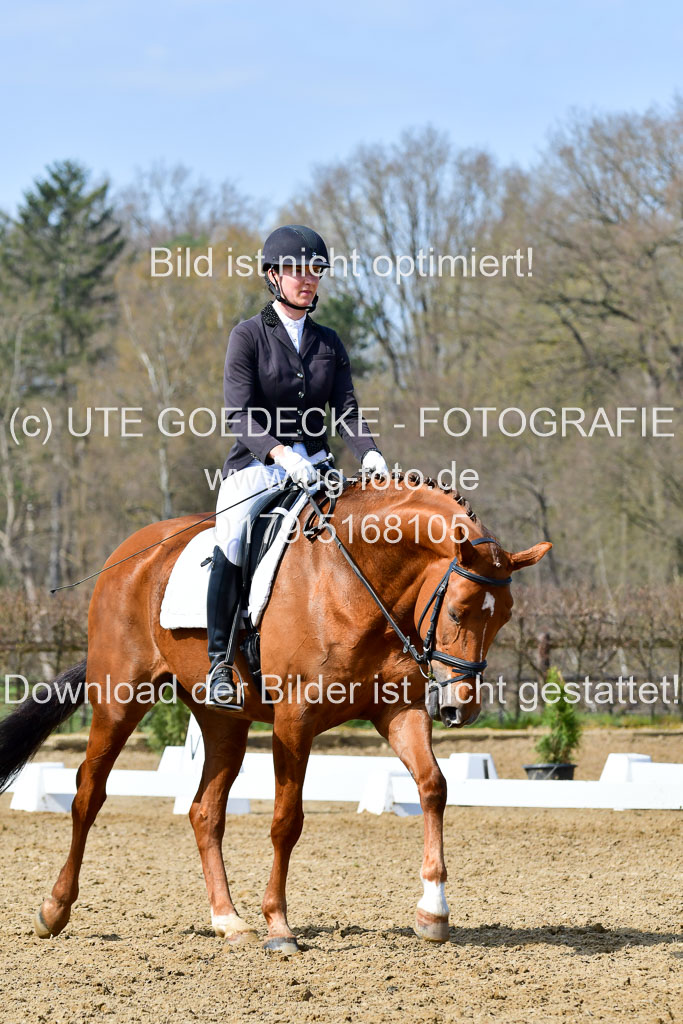 Reitsportzentrum Bremervörde | 10421 Dressur L Tr_488 