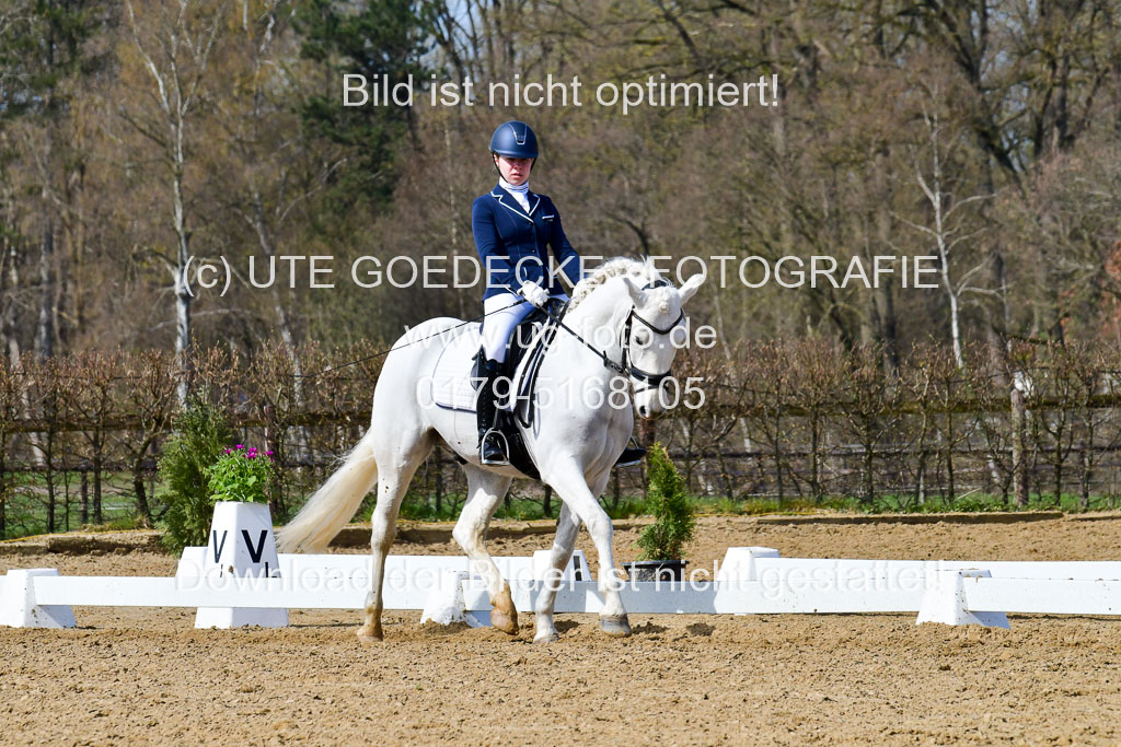 Reitsportzentrum Bremervörde | 10421 Dressur L Tr_489