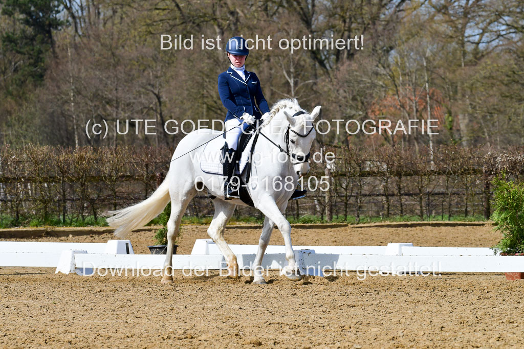 Reitsportzentrum Bremervörde | 10421 Dressur L Tr_490 