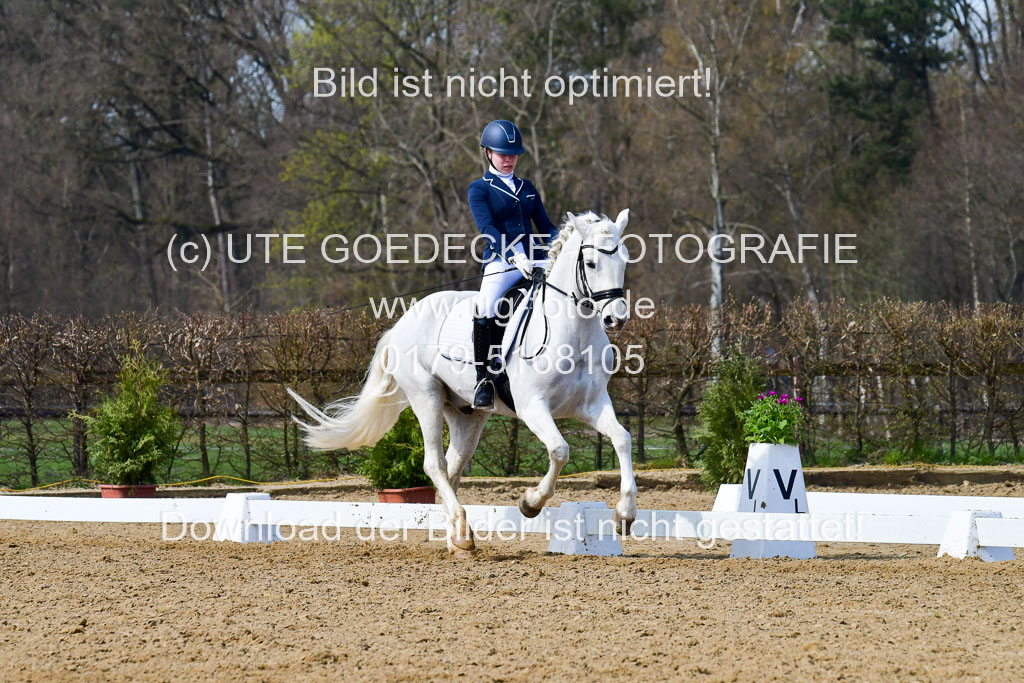 Reitsportzentrum Bremervörde | 10421 Dressur L Tr_498 